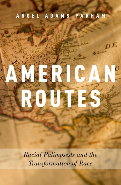 Cover of the book American Routes by Angel Adams Parham, Oxford University Press