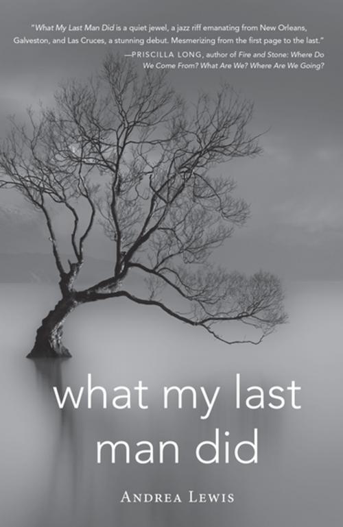 Cover of the book What My Last Man Did by Andrea Lewis, Indiana University Press
