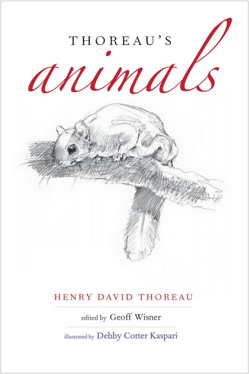 Cover of the book Thoreau's Animals by Henry David Thoreau, Yale University Press