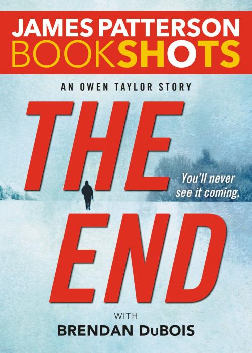 Cover of the book The End by James Patterson, Little, Brown and Company