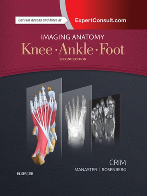 Cover of the book Imaging Anatomy: Knee, Ankle, Foot E-Book by Julia R. Crim, MD, B. J. Manaster, MD, PhD, FACR, Zehava Sadka Rosenberg, MD, Elsevier Health Sciences