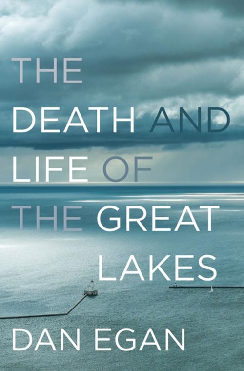 Cover of the book The Death and Life of the Great Lakes by Dan Egan, W. W. Norton & Company