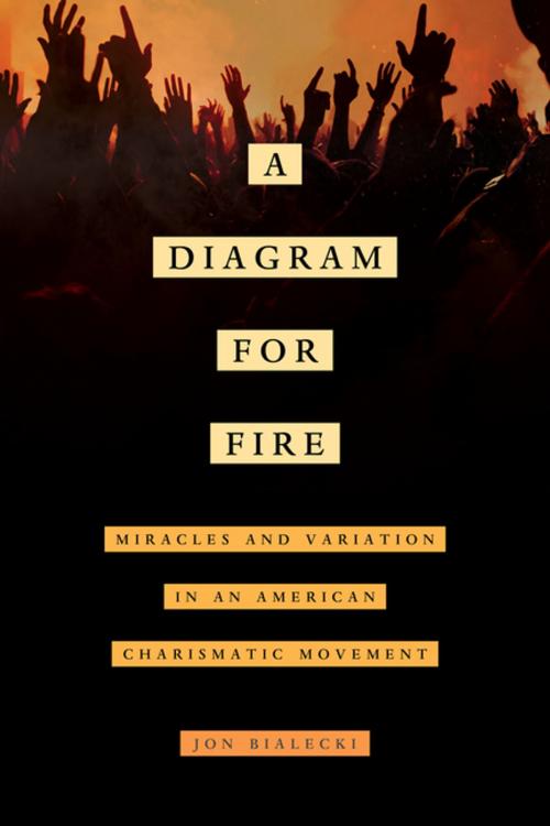 Cover of the book A Diagram for Fire by Jon Bialecki, University of California Press