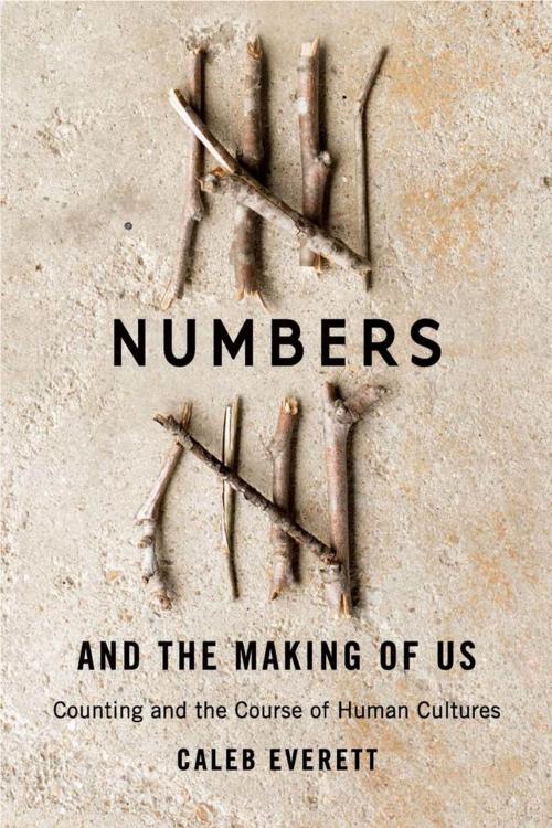 Cover of the book Numbers and the Making of Us by Caleb Everett, Harvard University Press