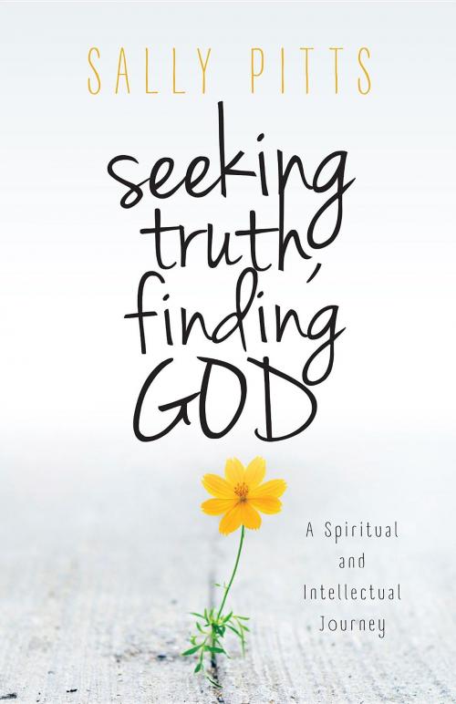 Cover of the book Seeking Truth, Finding God by Sally Pitts, Illumify Media Group
