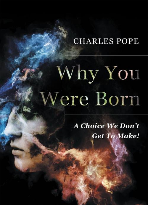 Cover of the book Why You Were Born by Charley Pope, Stratton Press