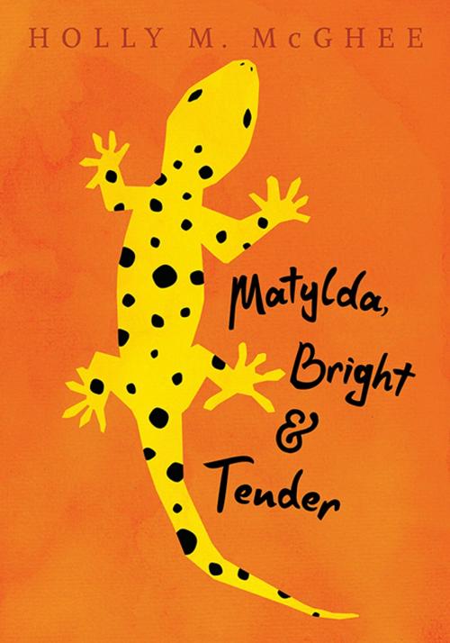 Cover of the book Matylda, Bright and Tender by Holly McGhee, Candlewick Press