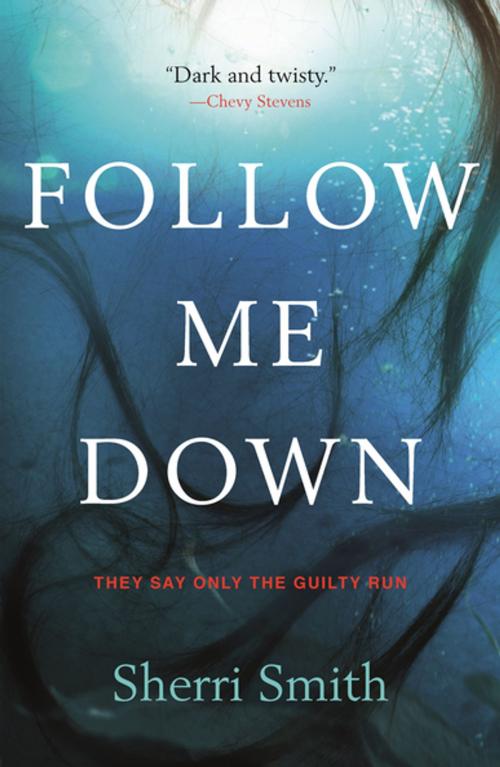Cover of the book Follow Me Down by Sherri Smith, Tom Doherty Associates
