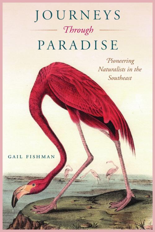 Cover of the book Journeys Through Paradise by Gail Fishman, University Press of Florida