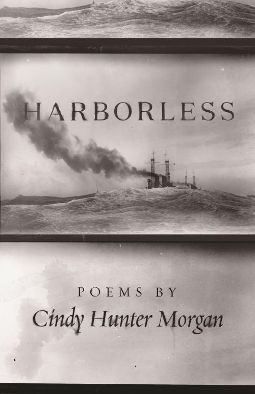 Cover of the book Harborless by Cindy Hunter Morgan, Wayne State University Press