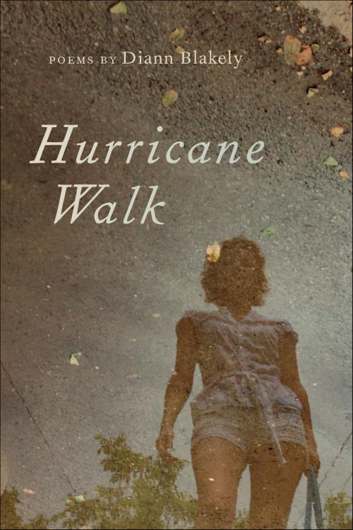 Cover of the book Hurricane Walk by Diann Blakely, University of Georgia Press