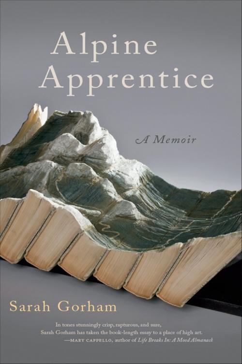 Cover of the book Alpine Apprentice by Sarah Gorham, University of Georgia Press