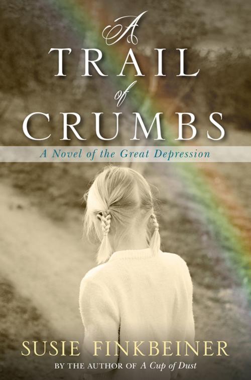 Cover of the book A Trail of Crumbs by Susie Finkbeiner, Kregel Publications