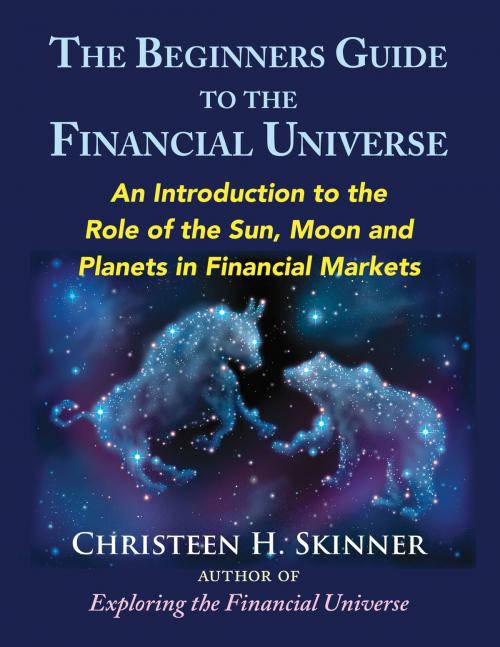Cover of the book The Beginners Guide to the Financial Universe by Christeen H. Skinner, Nicolas-Hays, Inc