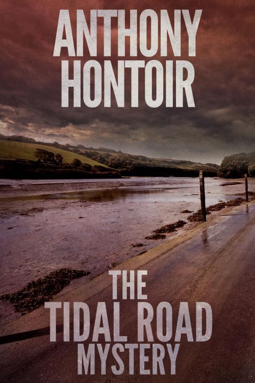 Cover of the book The Tidal Road Mystery by Anthony Hontoir, Anthony Hontoir