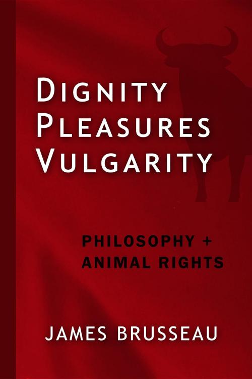 Cover of the book Dignity, Pleasures, Vulgarity by James Brusseau, Overflow