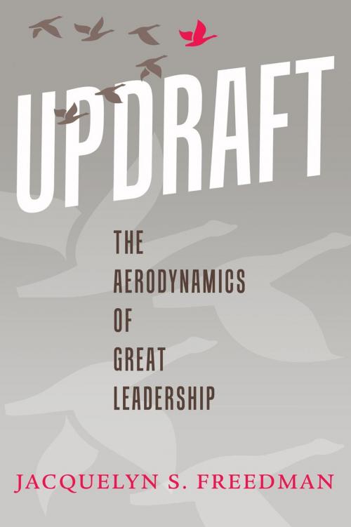 Cover of the book Updraft: The Aerodynamics of Great Leadership by Jacquelyn Freedman, Station Square Media