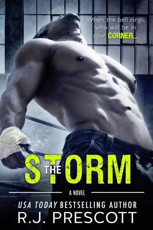 Cover of the book The Storm by R.J. Prescott, R.J. Prescott