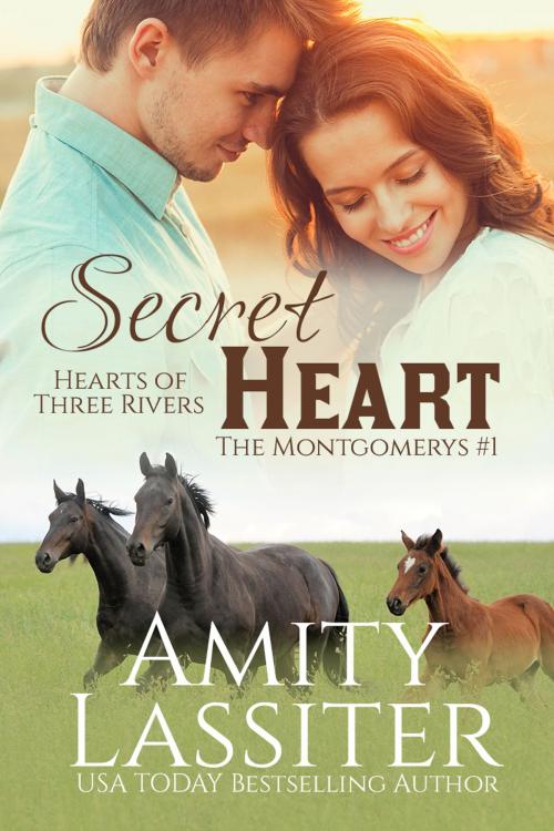 Cover of the book Secret Heart by Amity Lassiter, Amity Lassiter