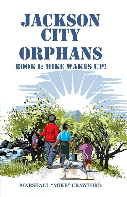 Cover of the book Jackson City Orphans: Book I by Marshall Mike Crawford, JJ Planter Books Editing & Self Publishing