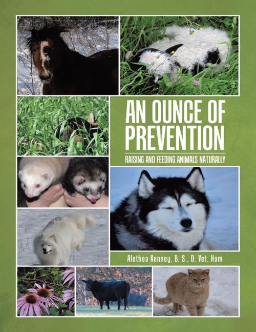 Cover of the book An Ounce of Prevention: Raising and Feeding Animals Naturally by Alethea Kenney, B. S., D. Vet. Hom, Boreal Balance, LLC
