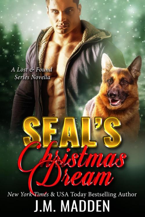 Cover of the book SEAL's Christmas Dream by J.M. Madden, J.M. Madden