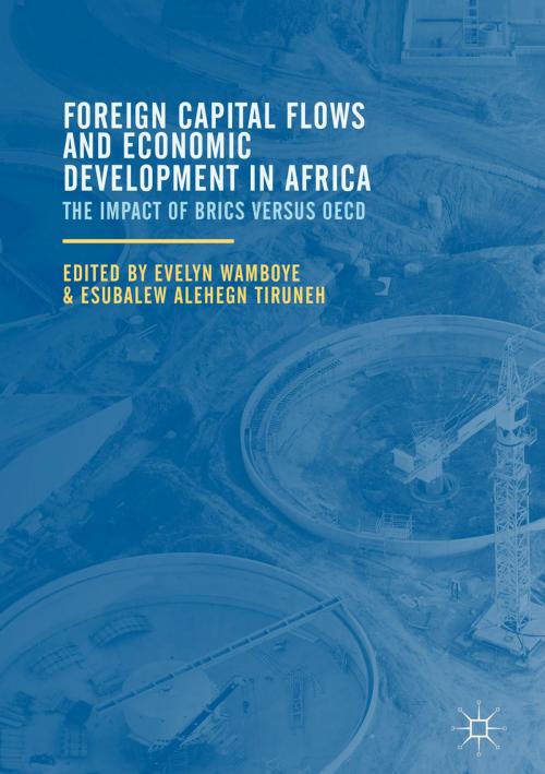 Cover of the book Foreign Capital Flows and Economic Development in Africa by , Palgrave Macmillan US