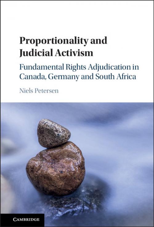 Cover of the book Proportionality and Judicial Activism by Niels Petersen, Cambridge University Press