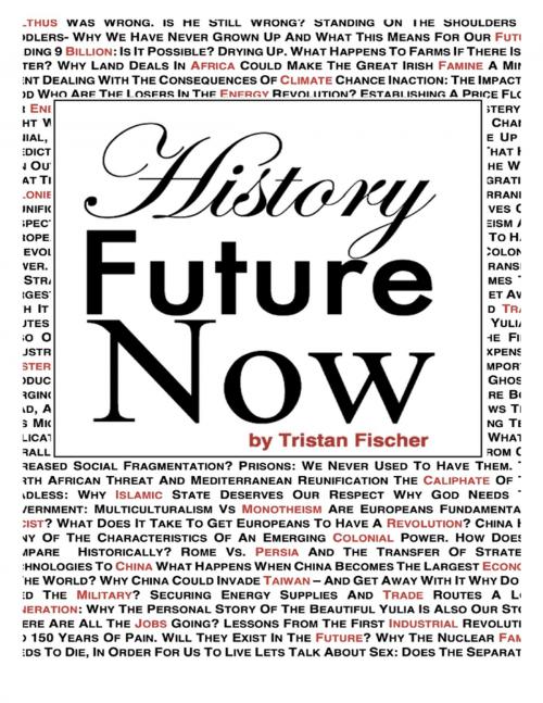 Cover of the book History Future Now by Tristan Fischer, Lulu.com
