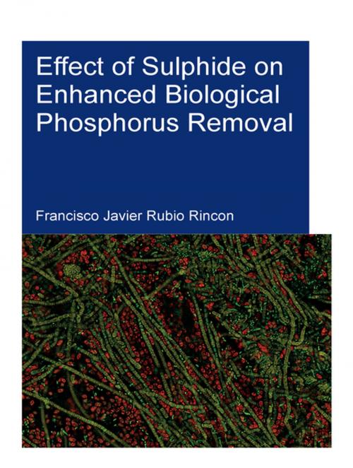Cover of the book Effect of Sulphide on Enhanced Biological Phosphorus Removal by Francisco Javier Rubio Rincon, CRC Press