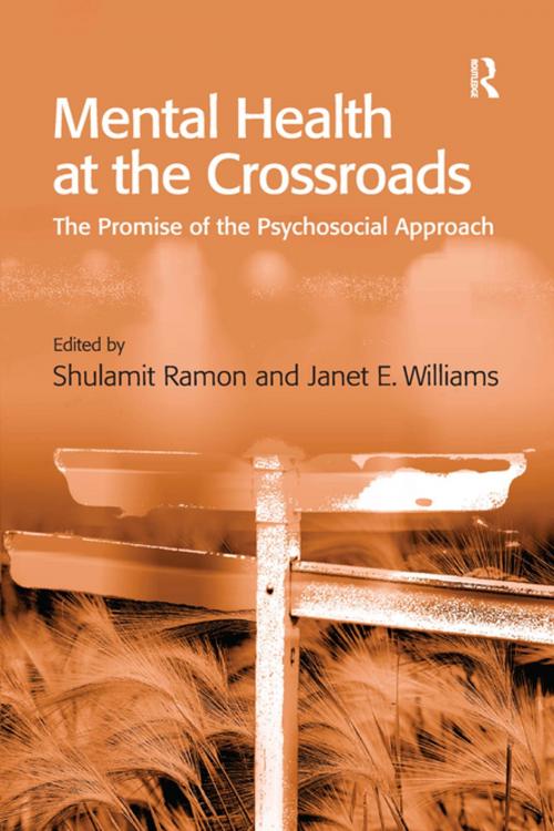 Cover of the book Mental Health at the Crossroads by Janet E. Williams, Taylor and Francis