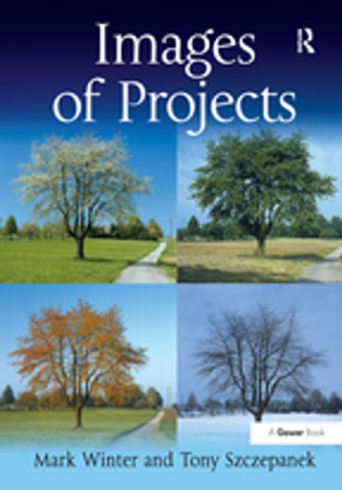 Cover of the book Images of Projects by Mark Winter, Tony Szczepanek, Taylor and Francis