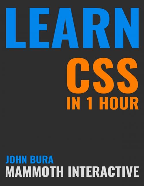Cover of the book Learn Css In 1 Hour by John Bura, Lulu.com