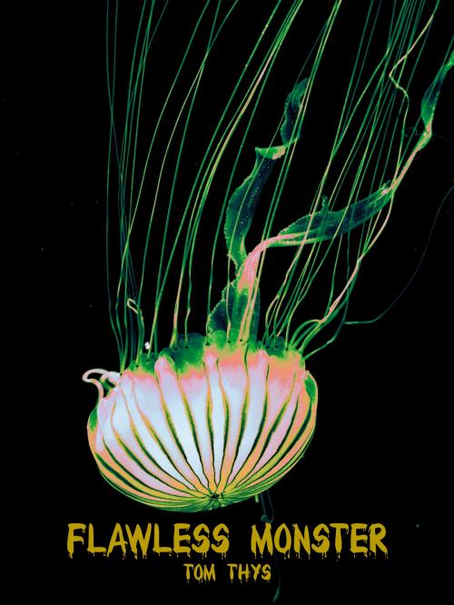 Cover of the book Flawless Monster by Tom Thys, Tom Thys