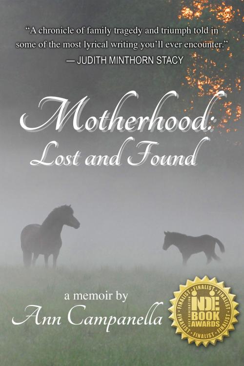 Cover of the book Motherhood: Lost and Found by Ann Campanella, Divine Phoenix