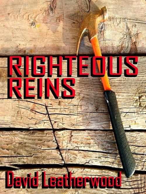 Cover of the book Righteous Reins by David Leatherwood, David Leatherwood