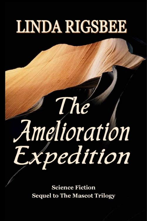 Cover of the book The Amelioration Expedition by Linda Rigsbee, Linda Louise Rigsbee