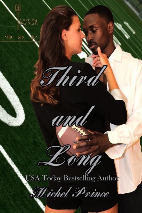 Cover of the book Third and Long by Michel Prince, JK Publishing, Inc.