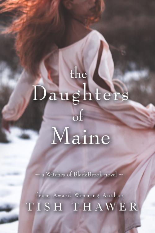 Cover of the book The Daughters of Maine by Tish Thawer, Amber Leaf Publishing
