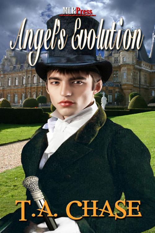 Cover of the book Angel's Evolution by T.A. Chase, MLR Press