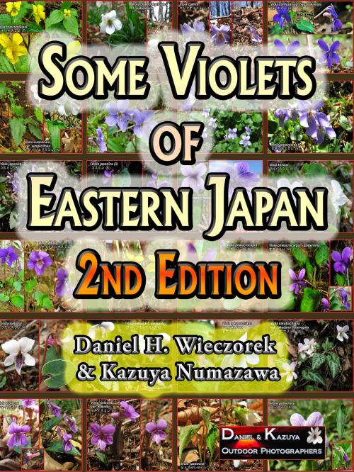Cover of the book Some Violets of Eastern Japan: 2nd Edition by Daniel H. Wieczorek, Kazuya Numazawa, Daniel H. Wieczorek