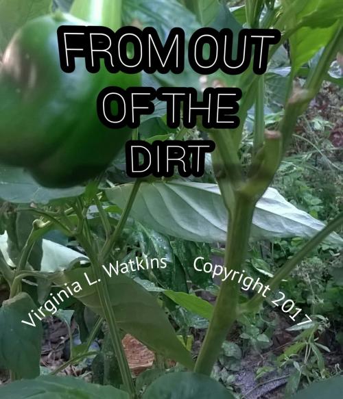 Cover of the book From Out Of The Dirt by Virginia Watkins, Virginia Watkins