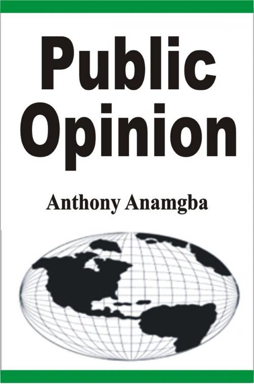 Cover of the book Public Opinion by Anthony Anamgba, Anthony Anamgba