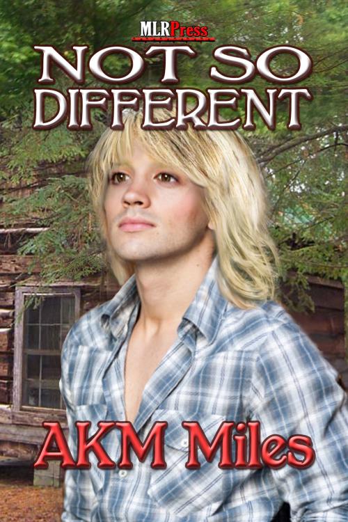 Cover of the book Not So Different by AKM Miles, MLR Press