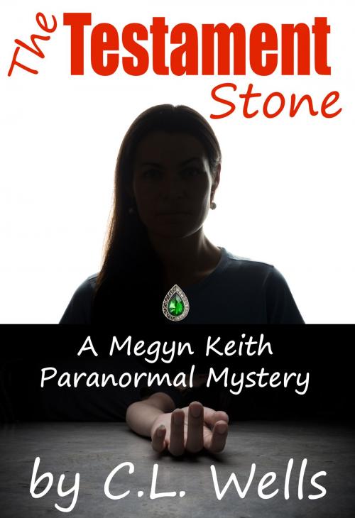 Cover of the book The Testament Stone: a Megyn Keith Paranormal Mystery by C.L. Wells, C.L. Wells