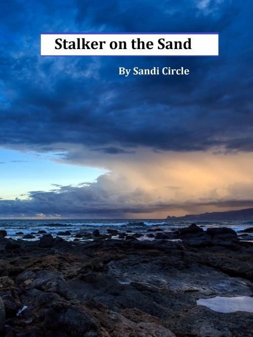 Cover of the book Stalker on the Sand by Sandi Circle, Sandi Circle