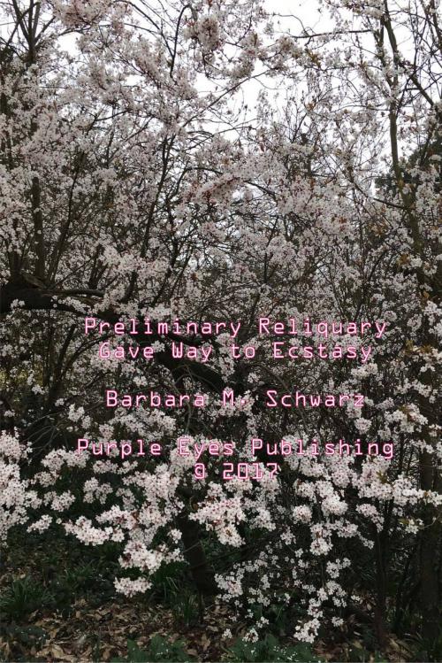 Cover of the book Preliminary Reliquary Gave Way To Ecstasy by Barbara M Schwarz, b.schwarz@greentor.com