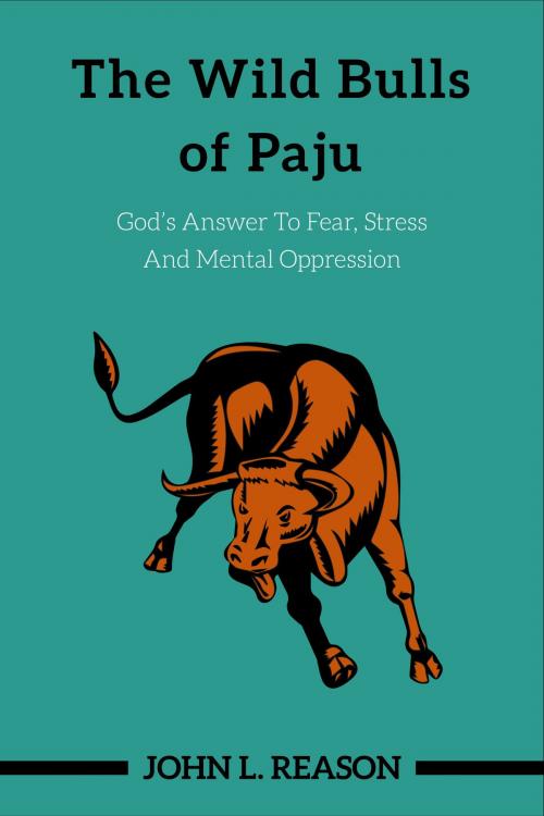 Cover of the book The Wild Bulls of Paju by John Reason, John Reason