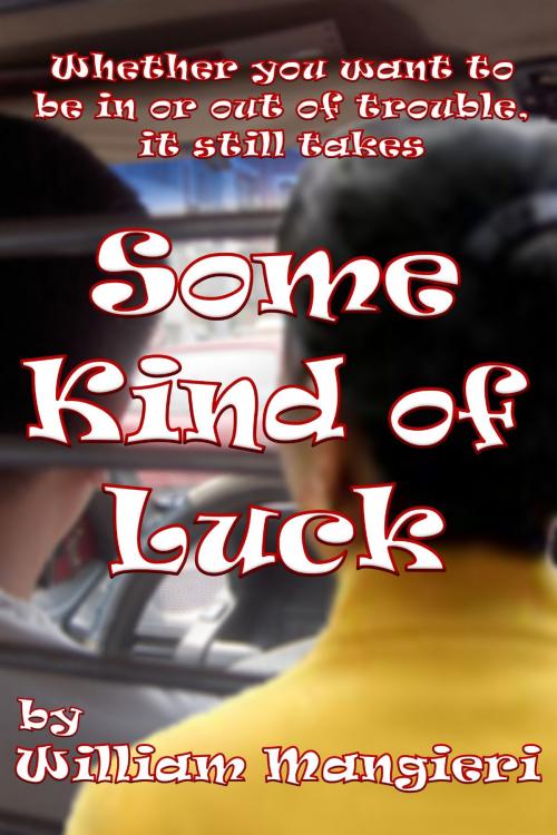 Cover of the book Some Kind of Luck by William Mangieri, William Mangieri