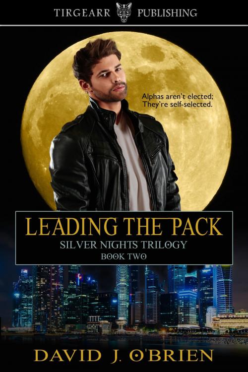 Cover of the book Leading the Pack by David J. O'Brien, Tirgearr Publishing